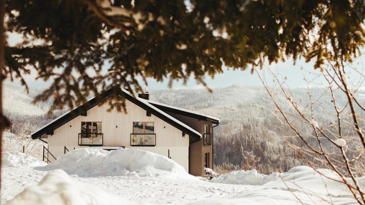 Apartamenty 'Okno Z Widokiem' 维斯拉 外观 照片